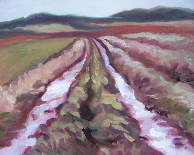 Landscape study 1